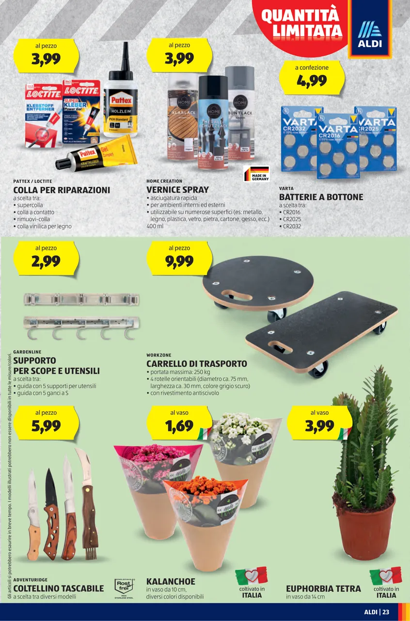 Pagina 23