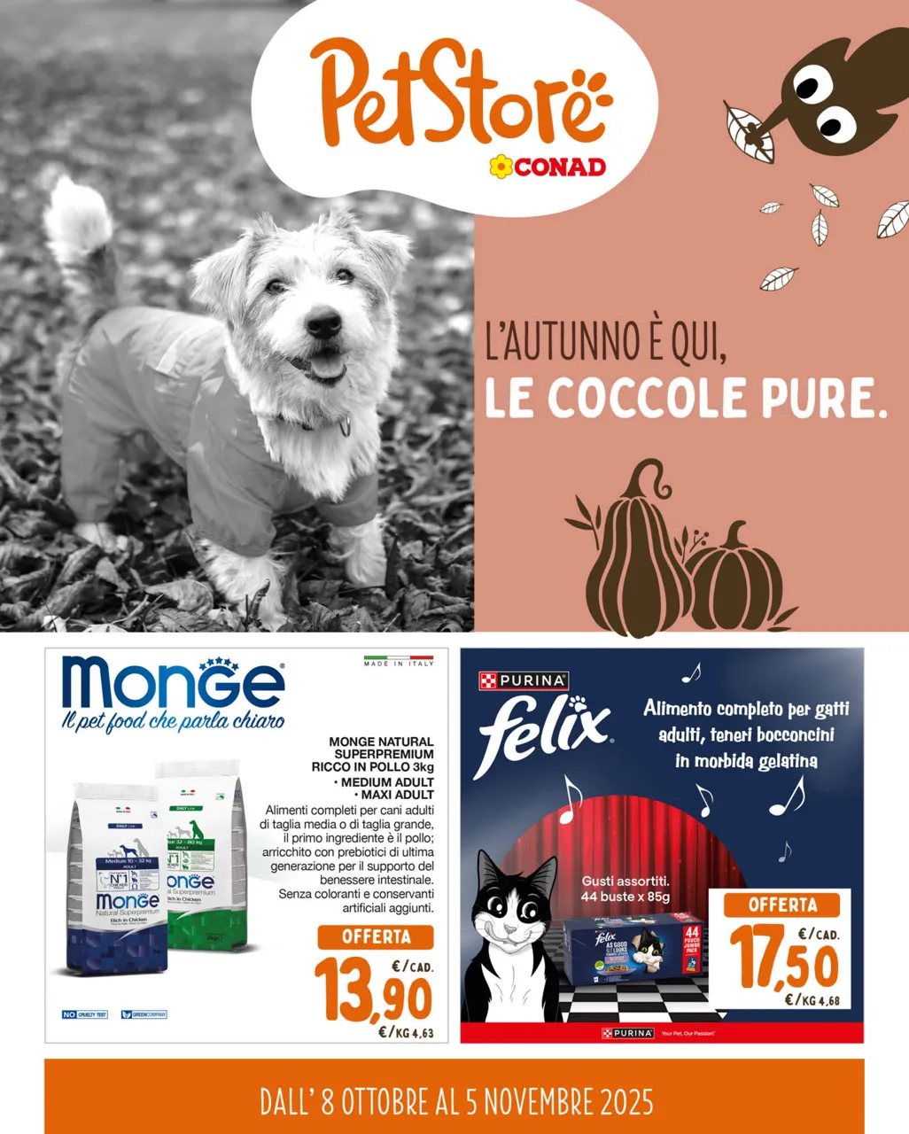 Pagina 1