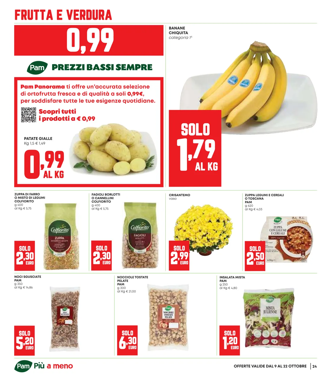 Pagina 24