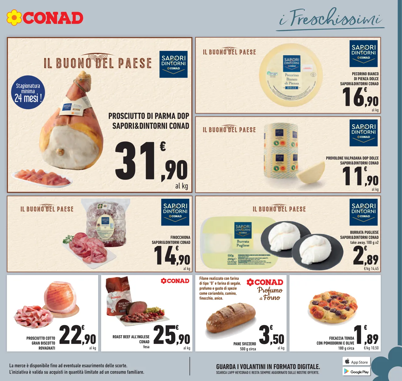 Pagina 11