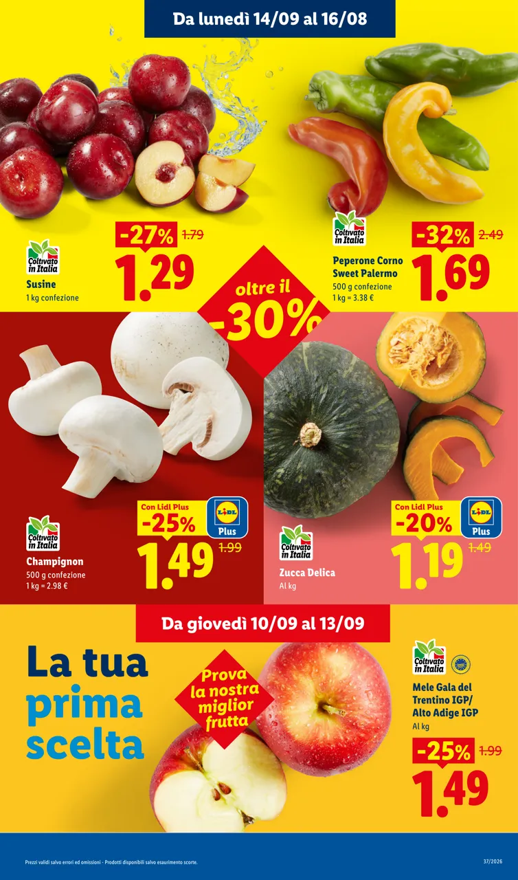 Pagina 5