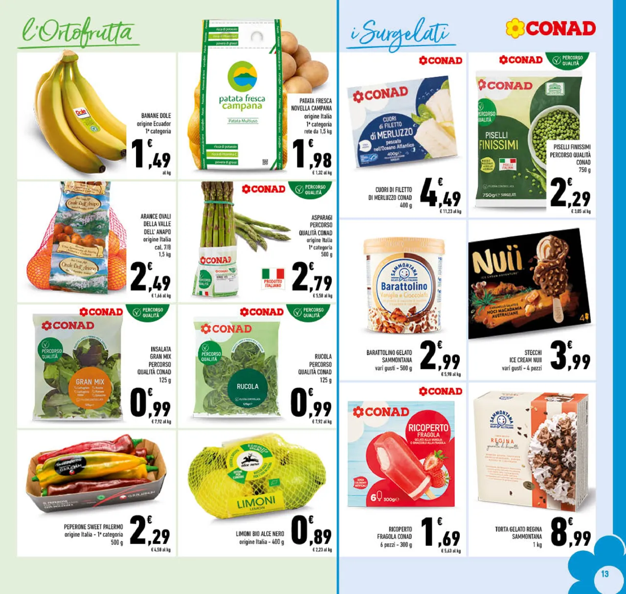 Pagina 13