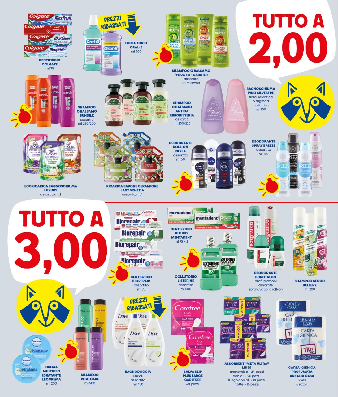 Pagina 3