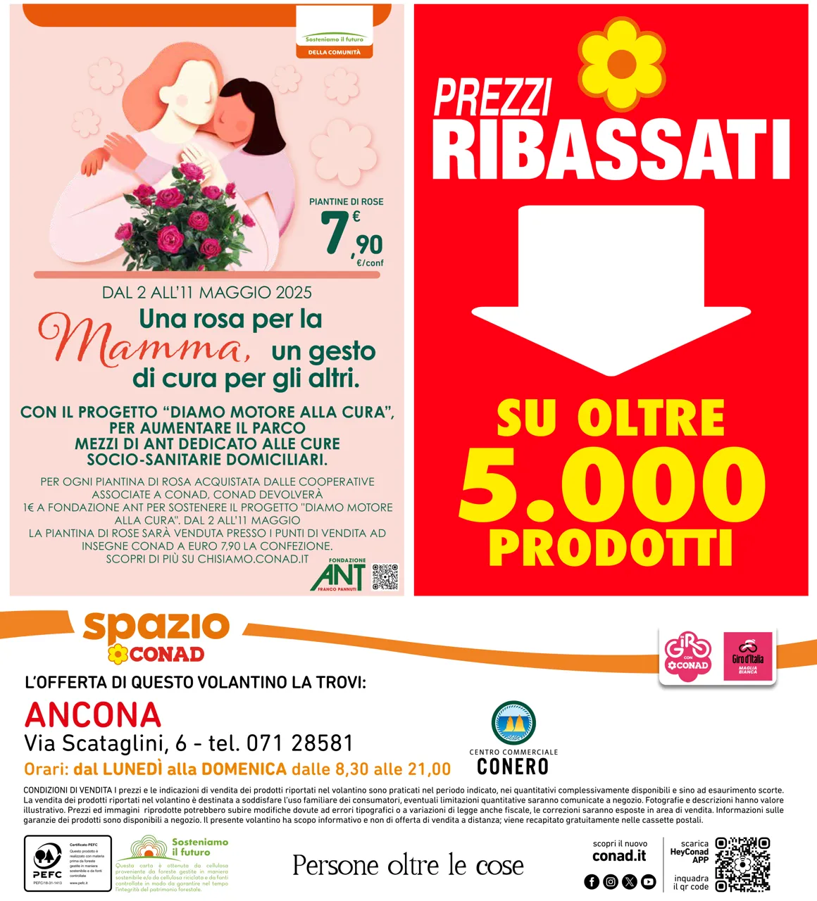 Pagina 40