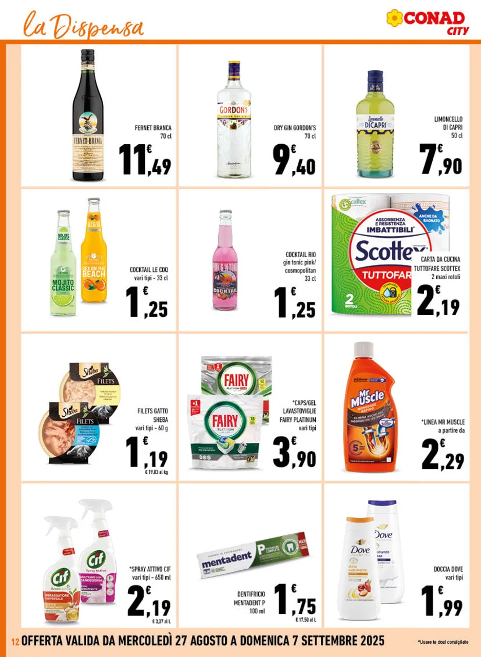 Pagina 12