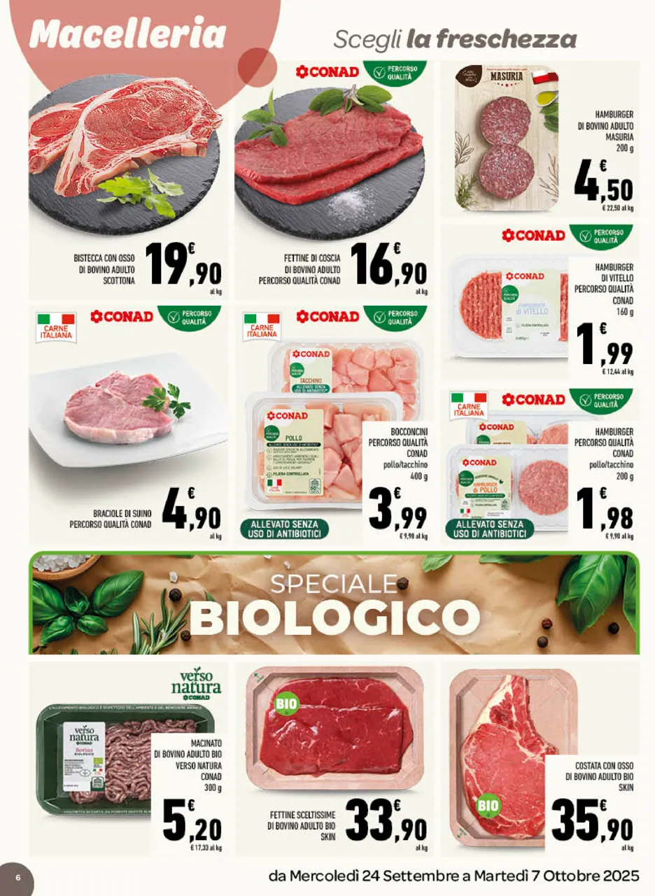 Pagina 6