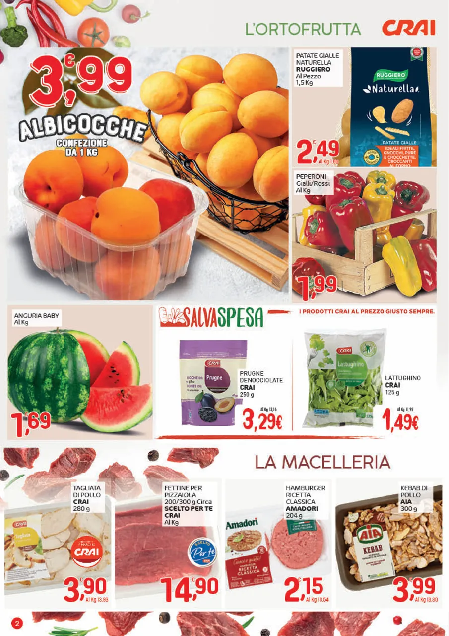 Pagina 2