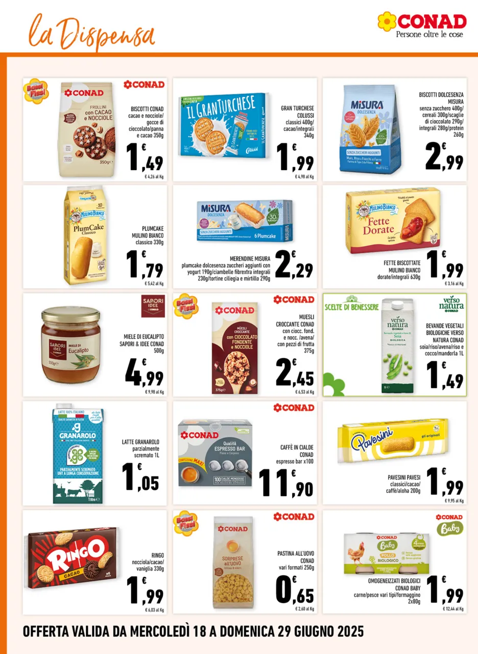 Pagina 8