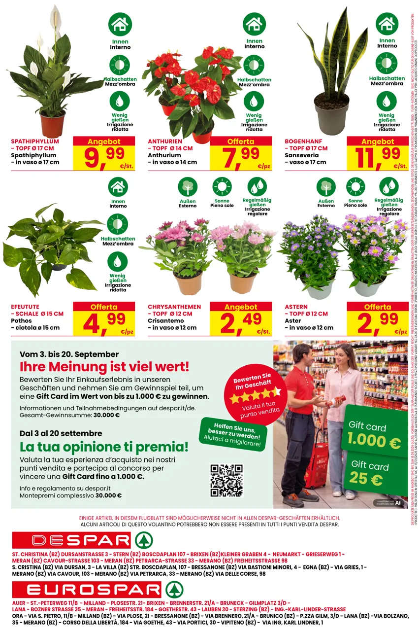 Pagina 16
