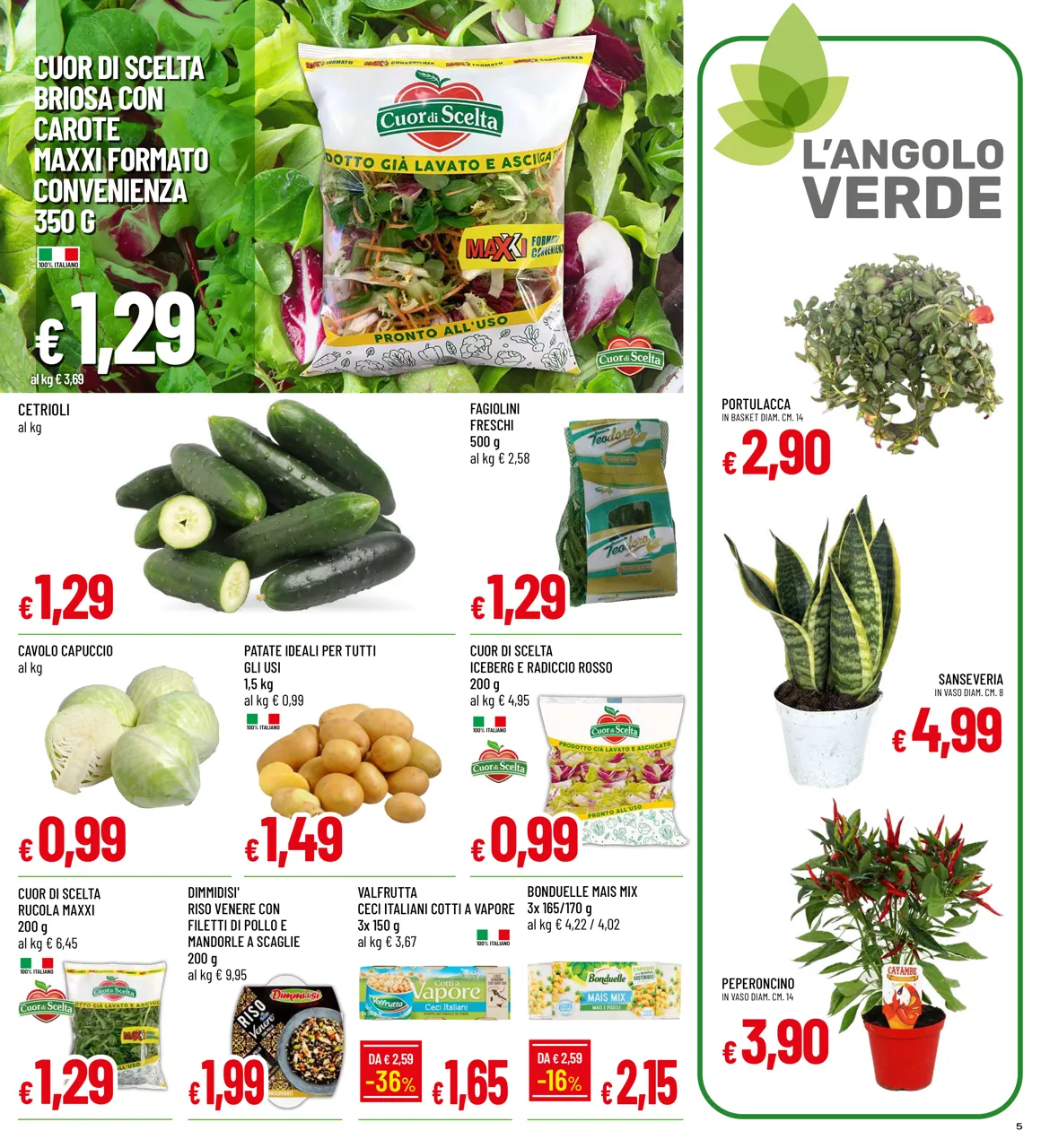 Pagina 5