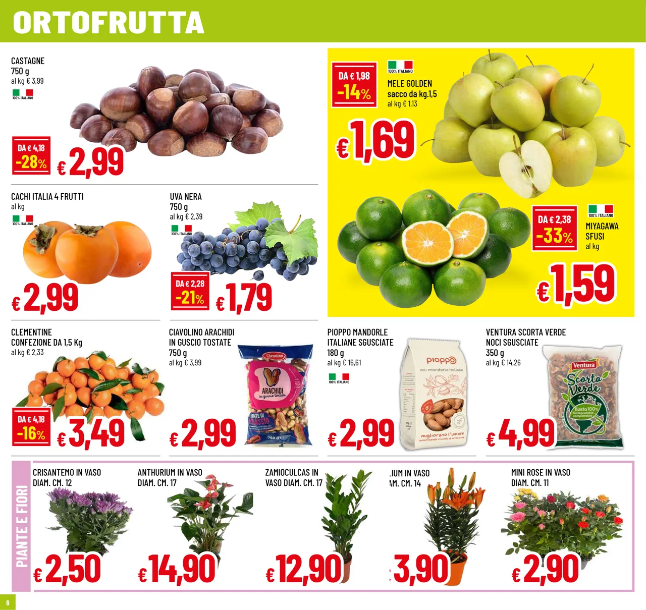 Pagina 6