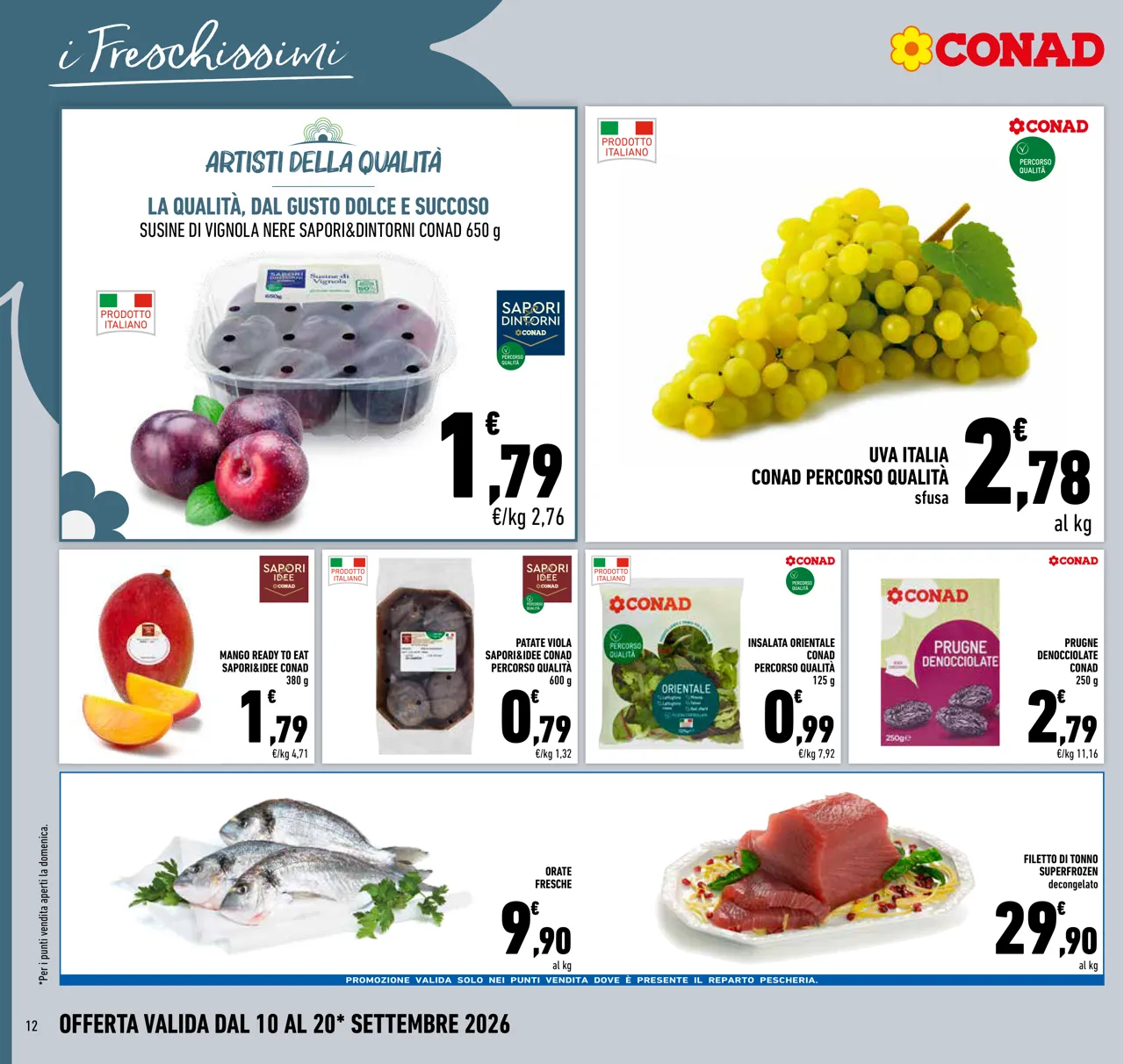 Pagina 12