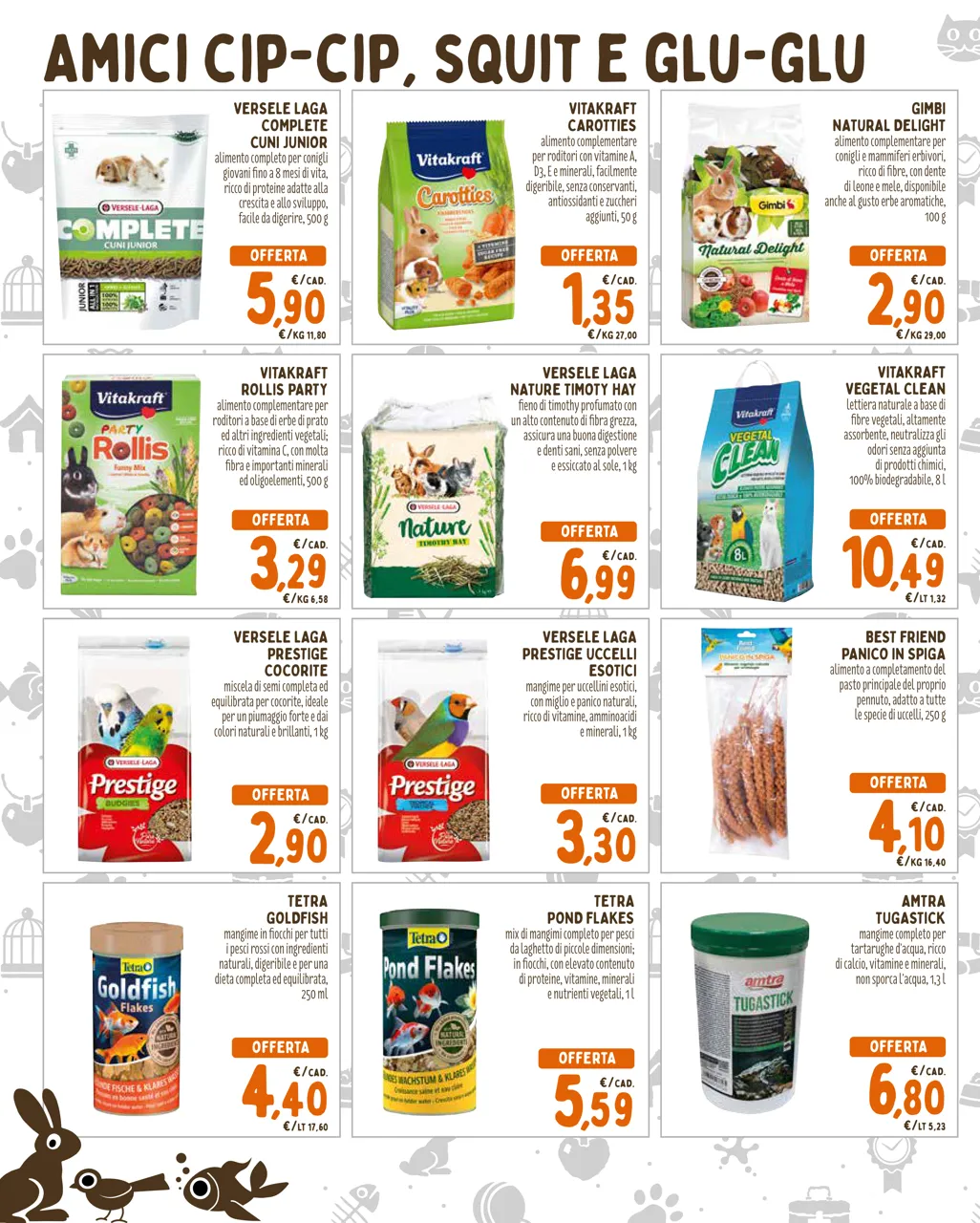 Pagina 6