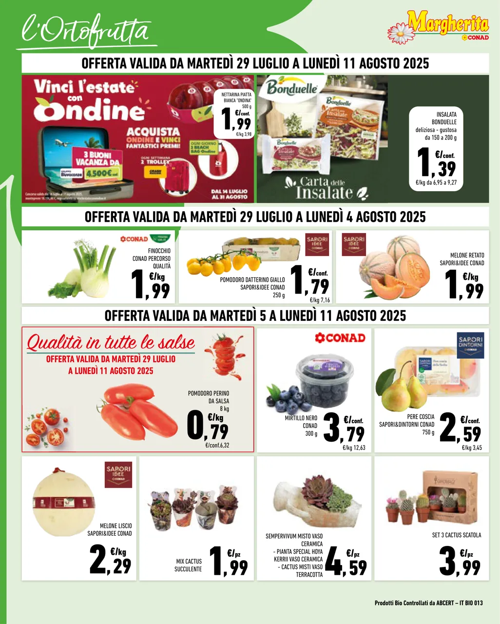 Pagina 2