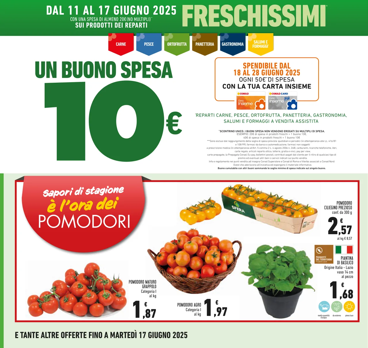 Pagina 10