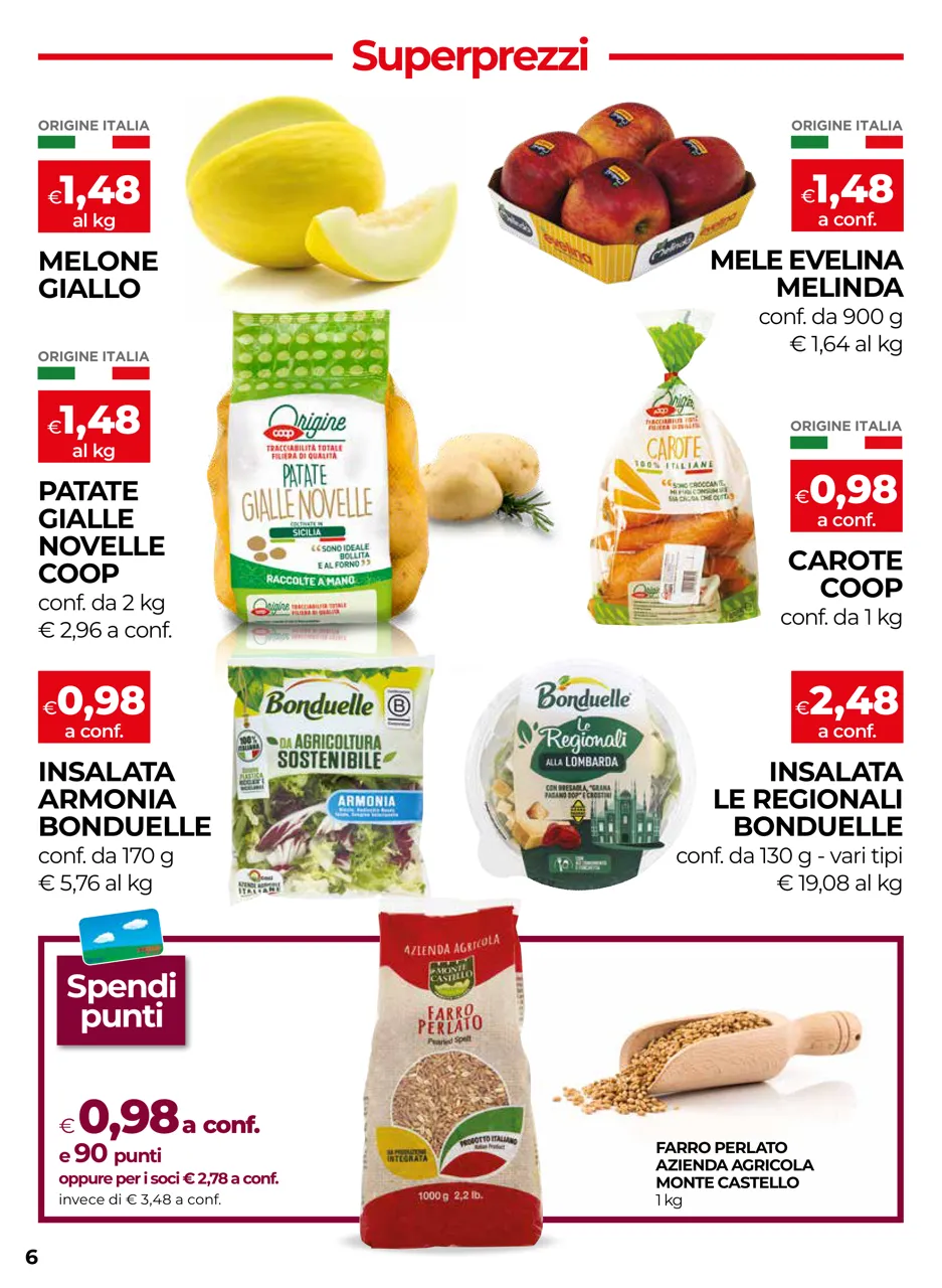 Pagina 6
