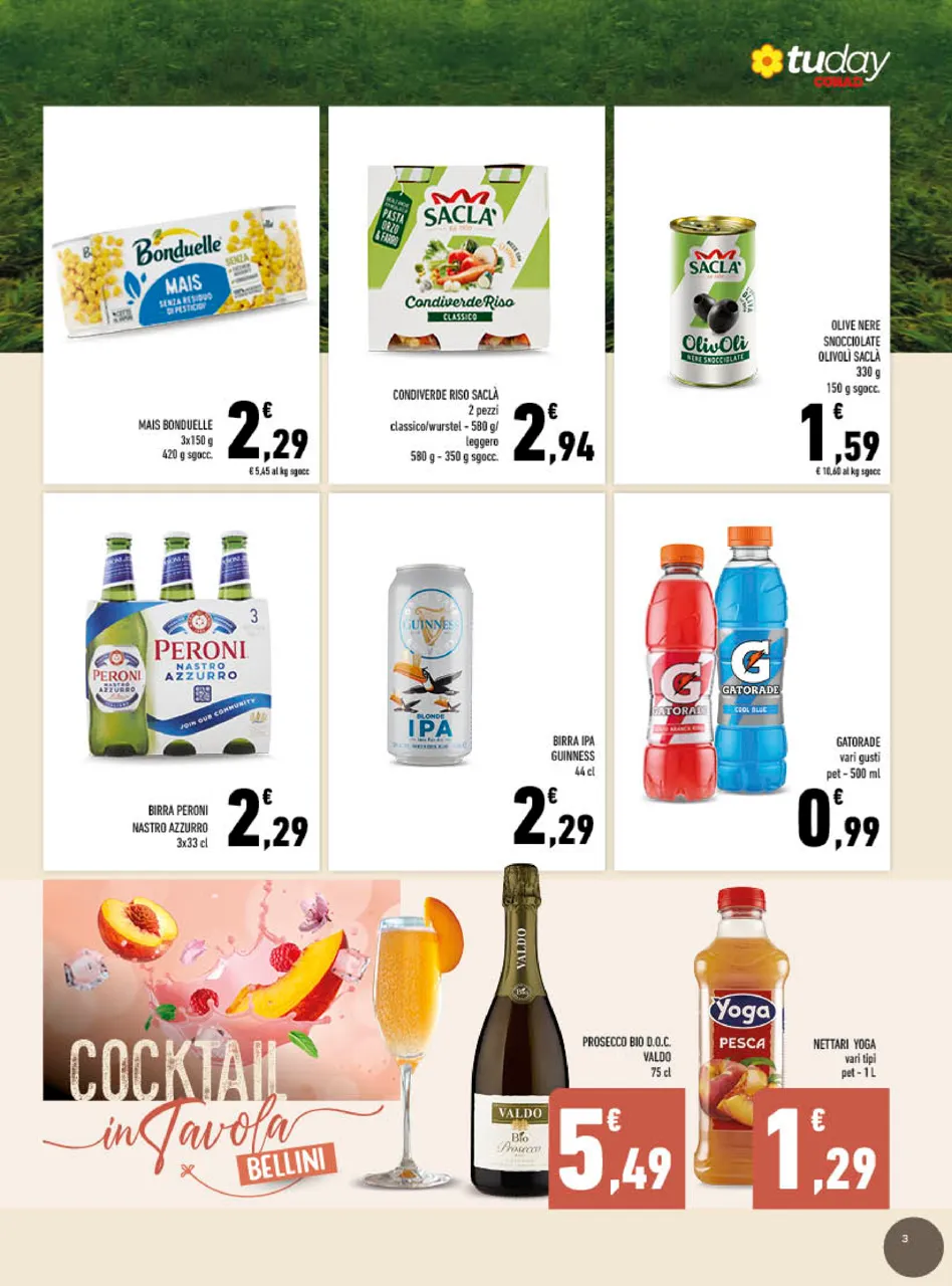 Pagina 3