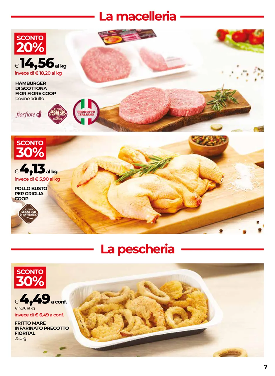 Pagina 7