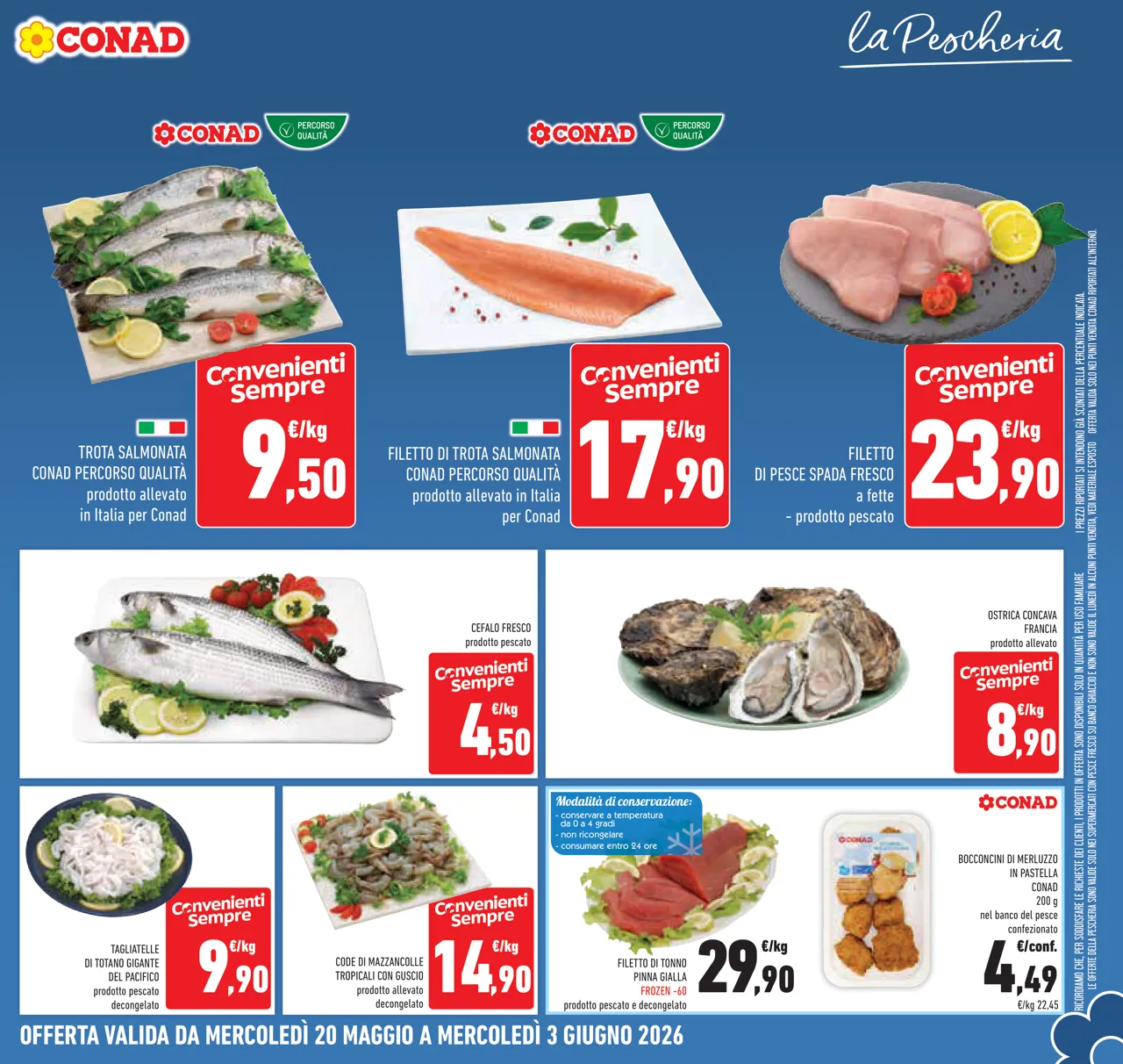 Pagina 7