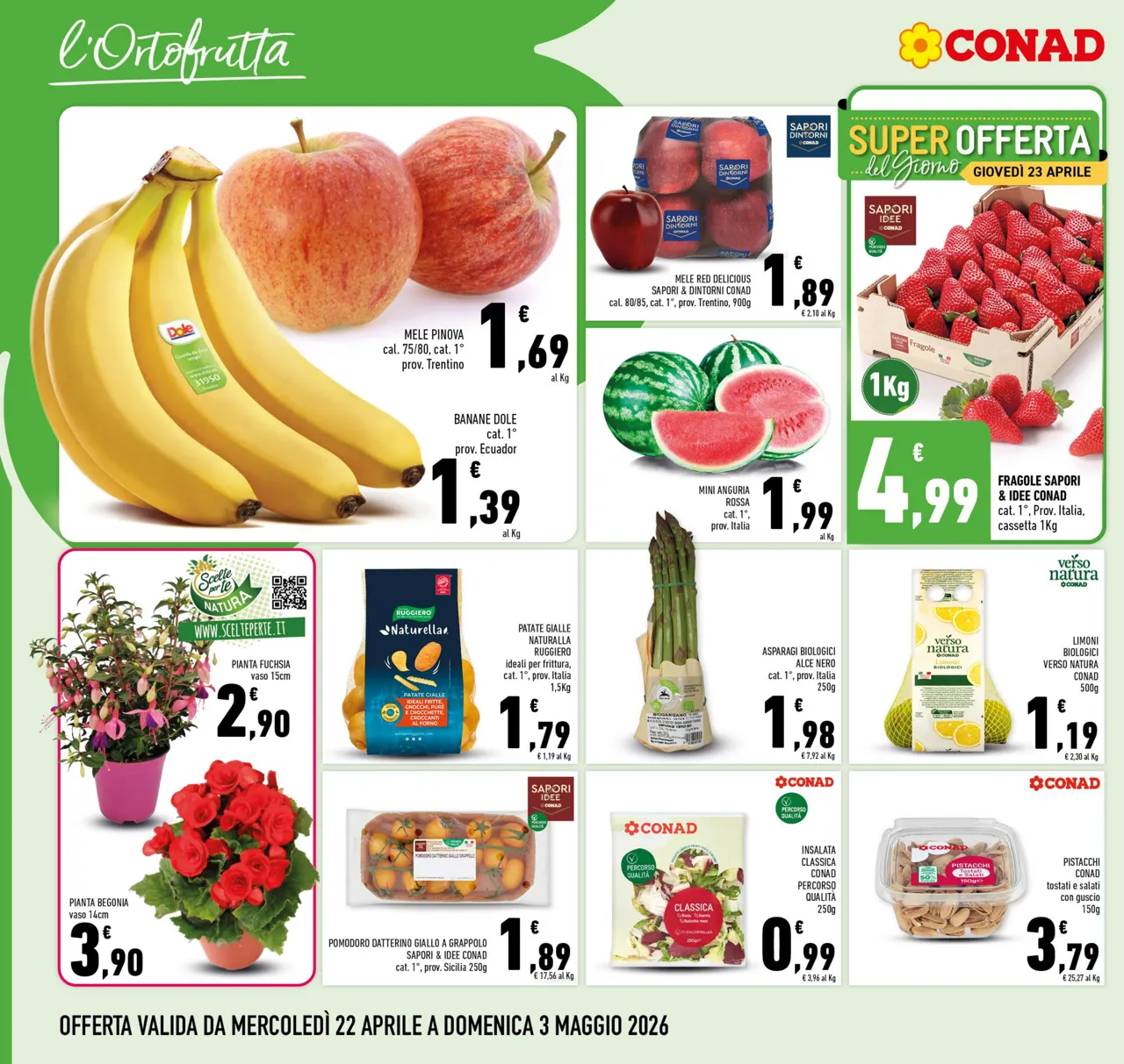 Pagina 2