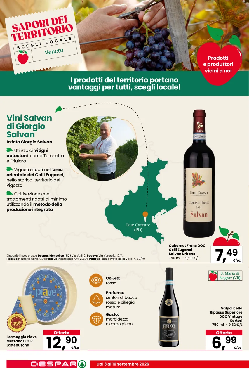 Pagina 8