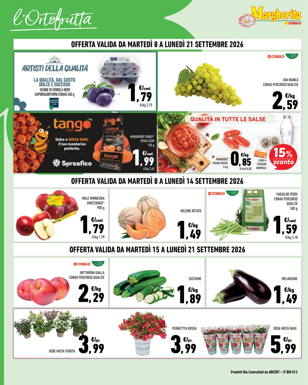 Pagina 2