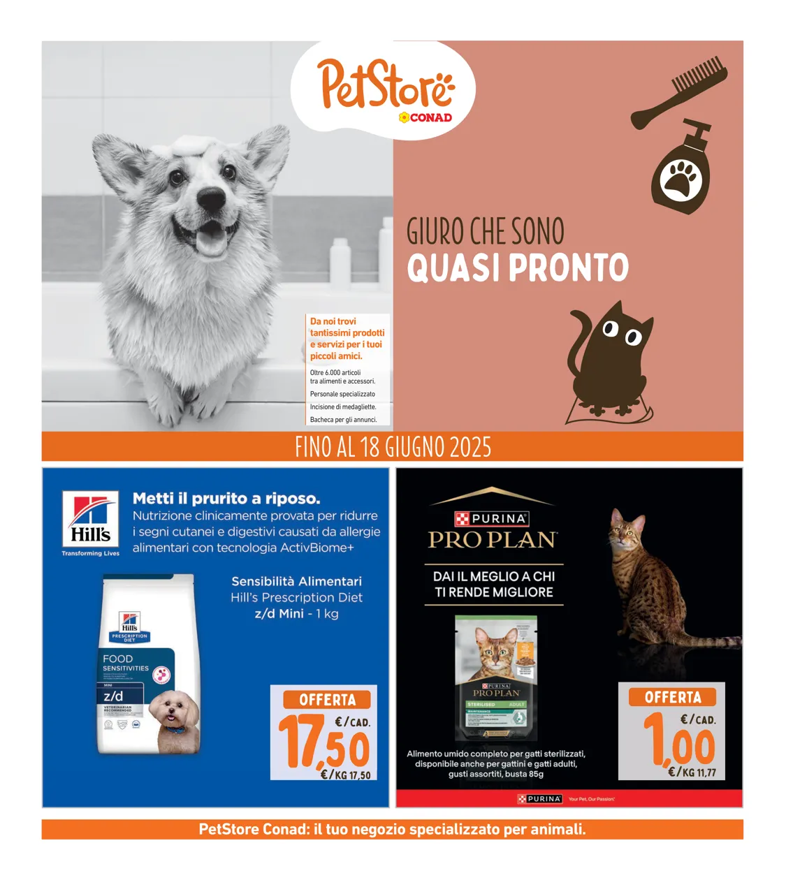 Pagina 28