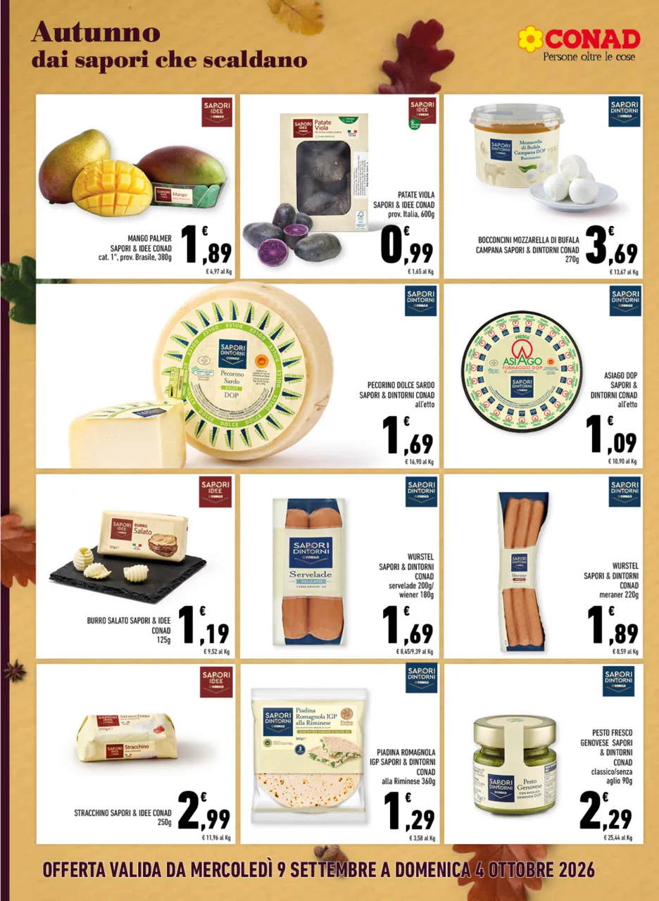 Pagina 8