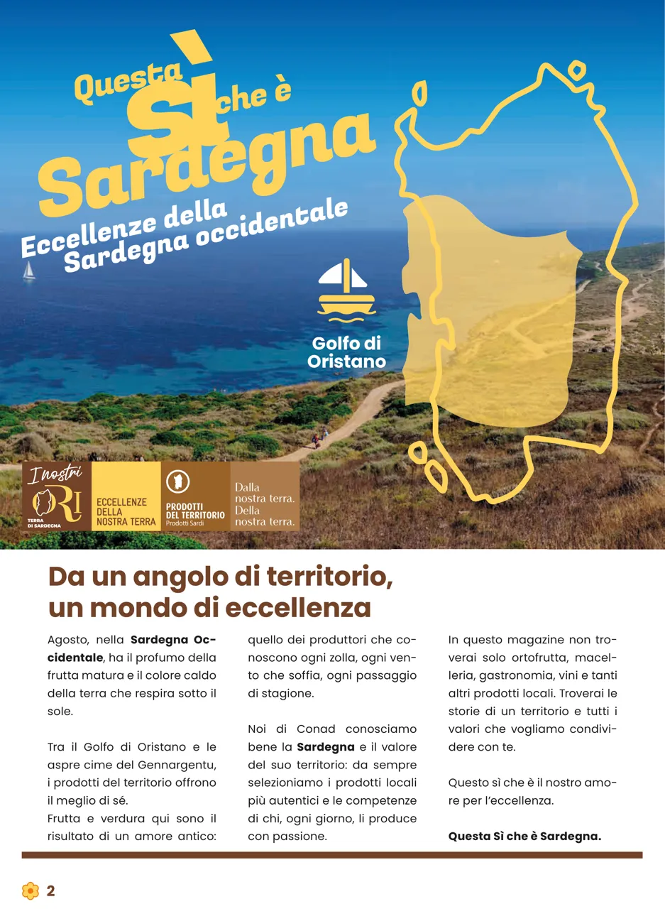 Pagina 2