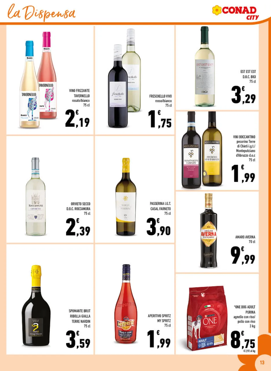 Pagina 13