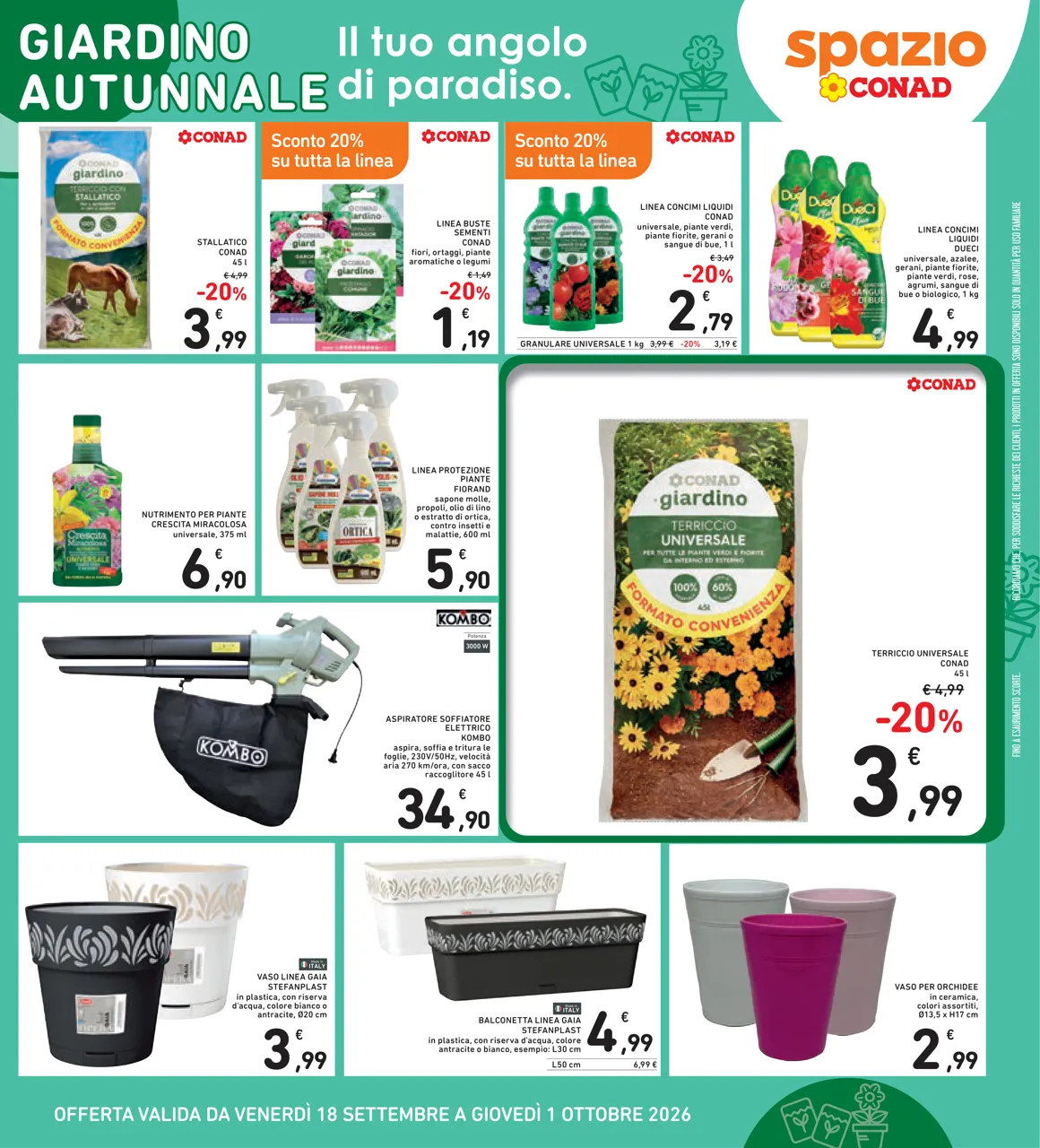 Pagina 43
