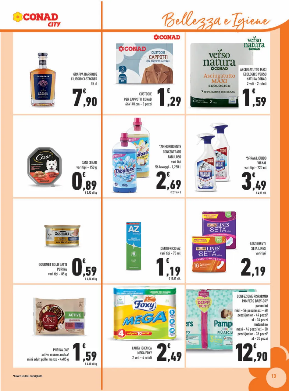 Pagina 13