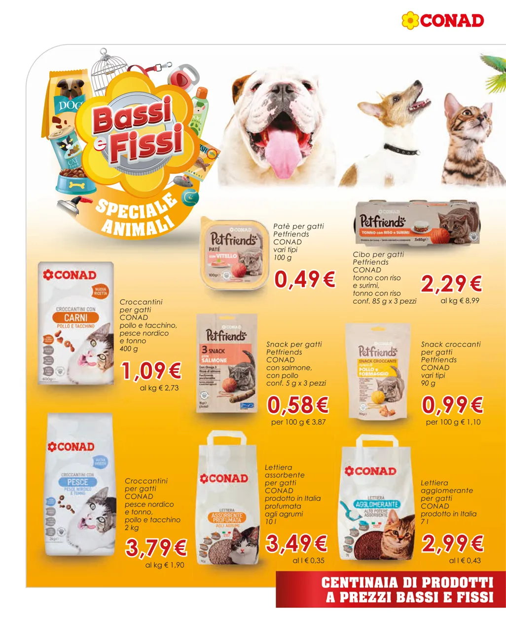 Pagina 4