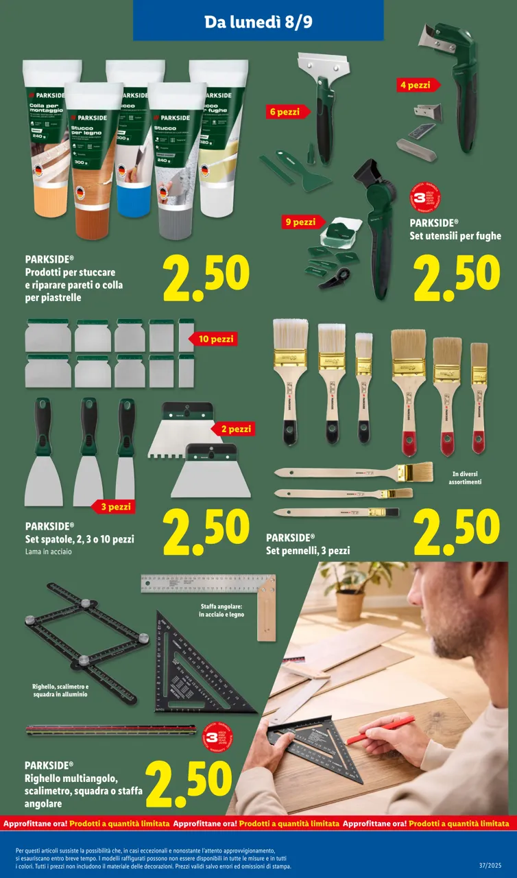 Pagina 41
