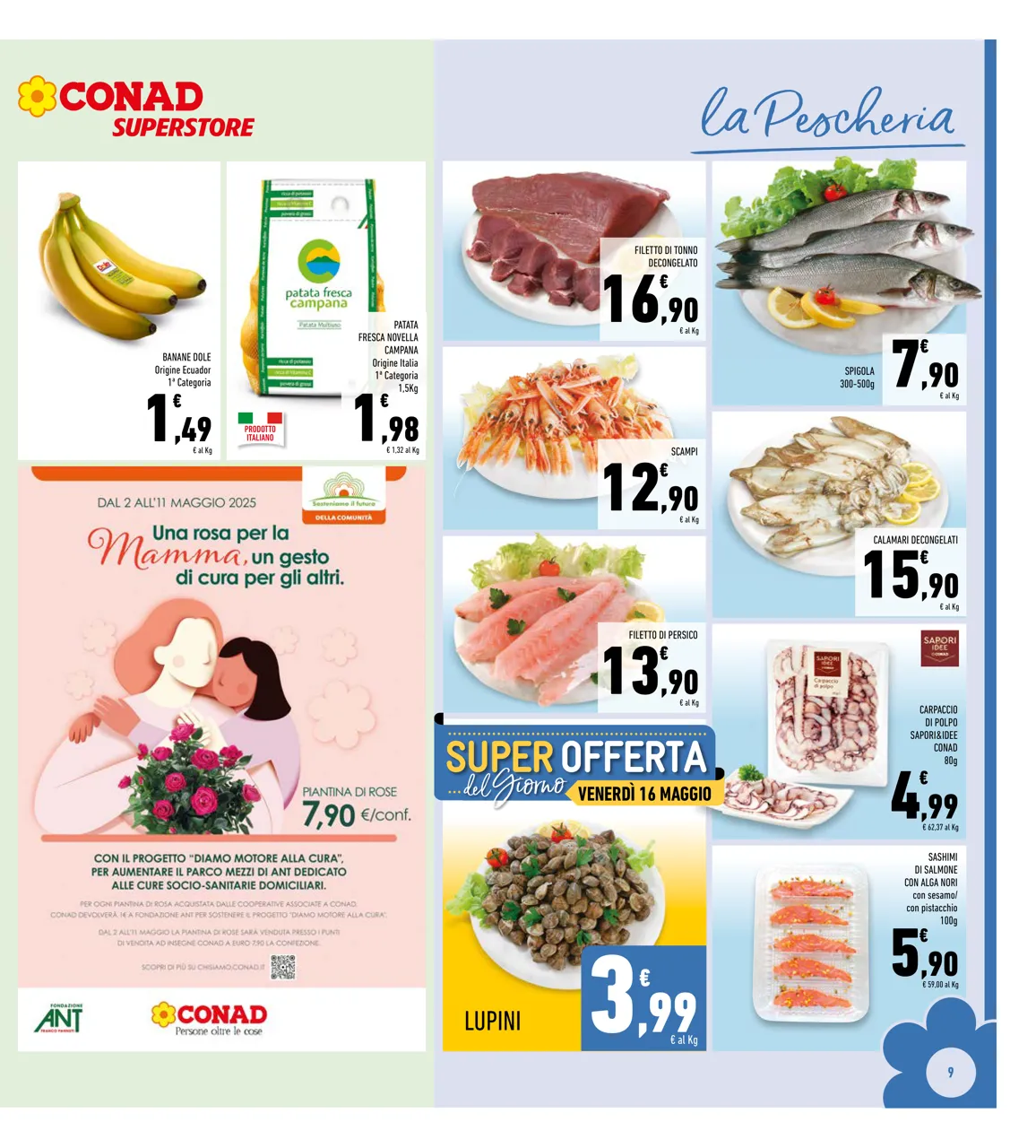 Pagina 9