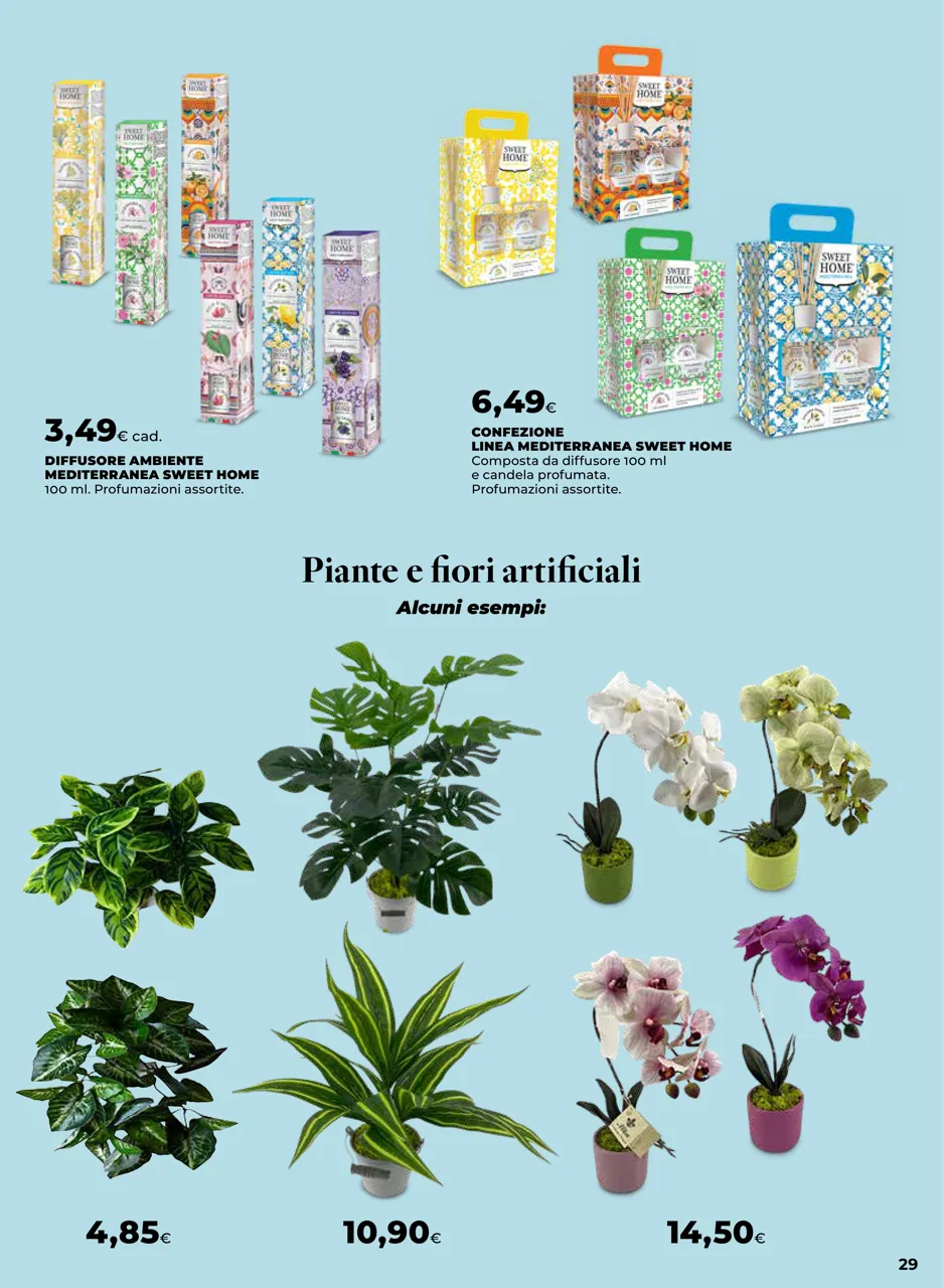 Pagina 29