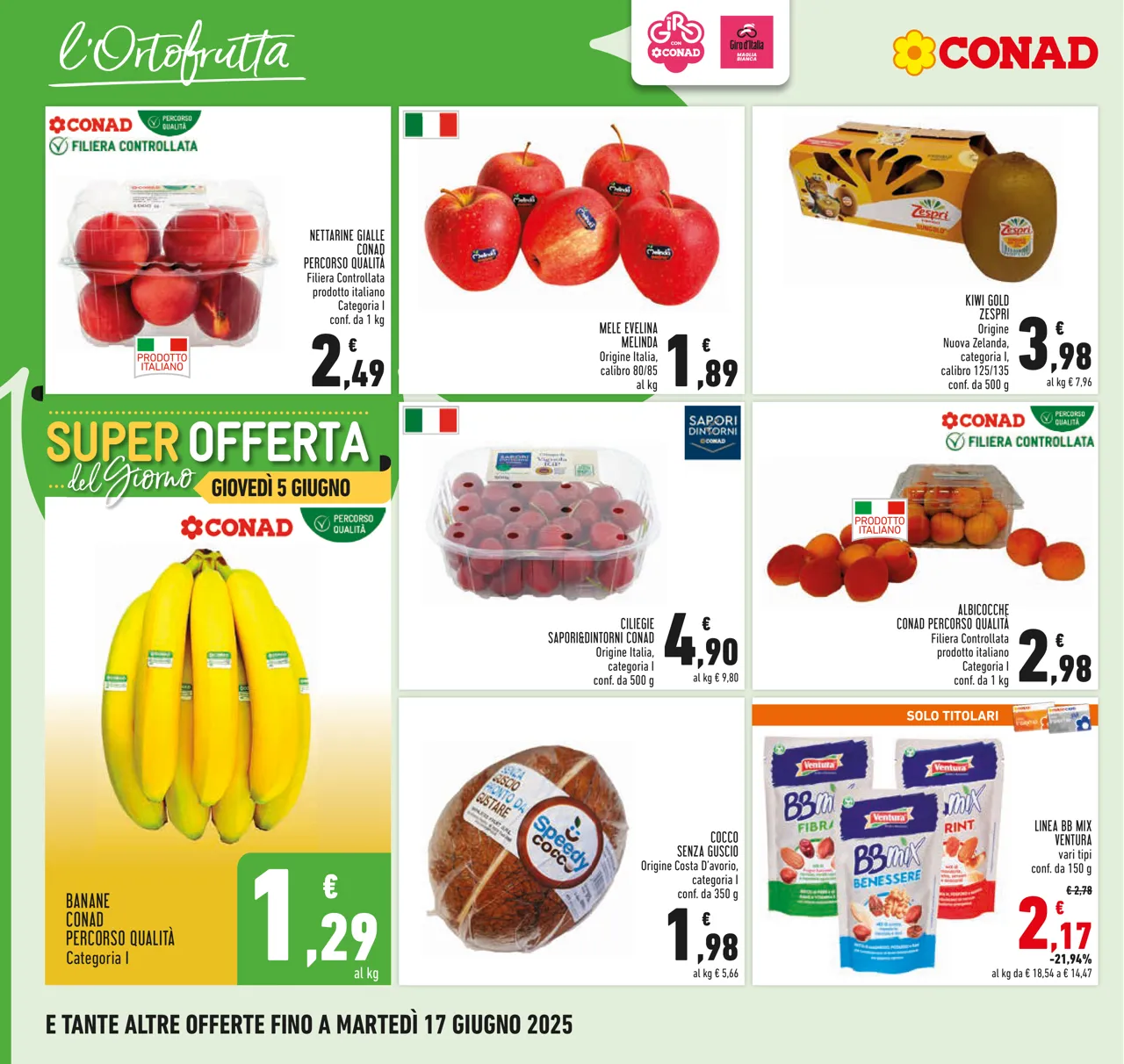 Pagina 12