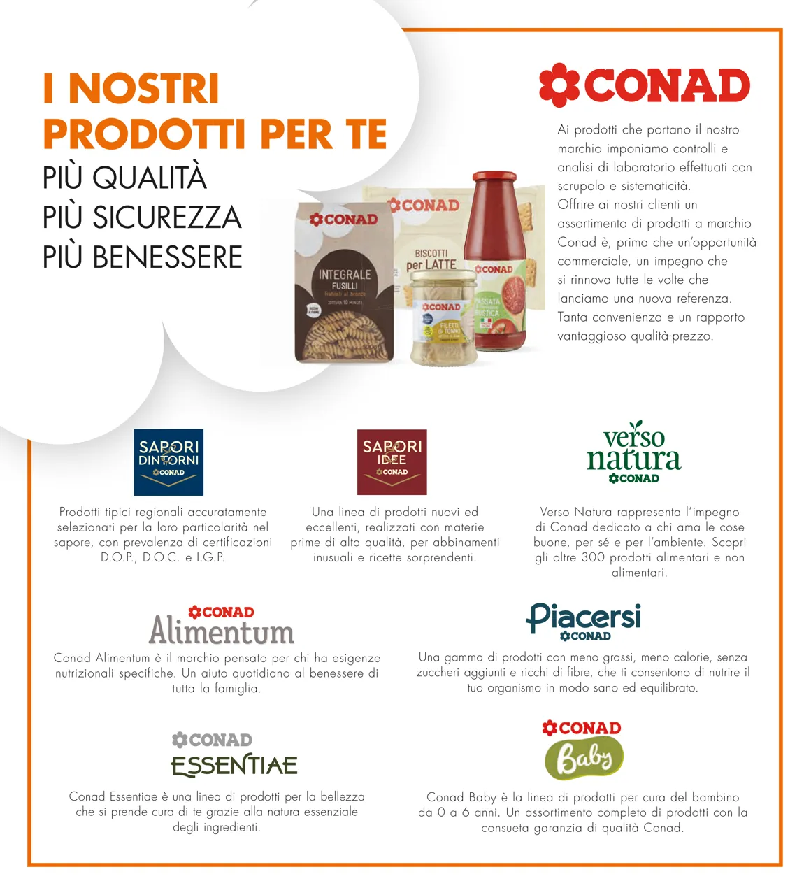 Pagina 6