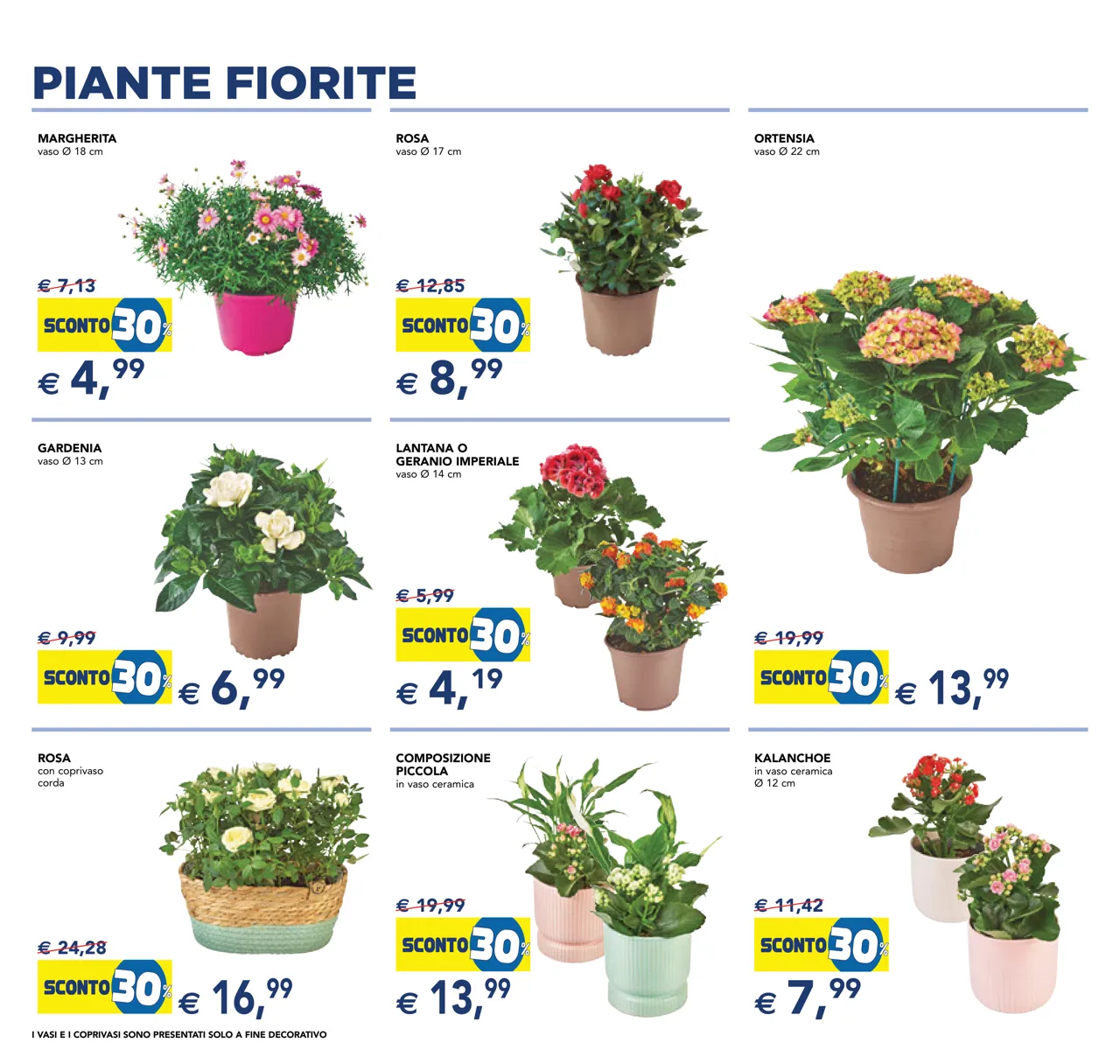 Pagina 6