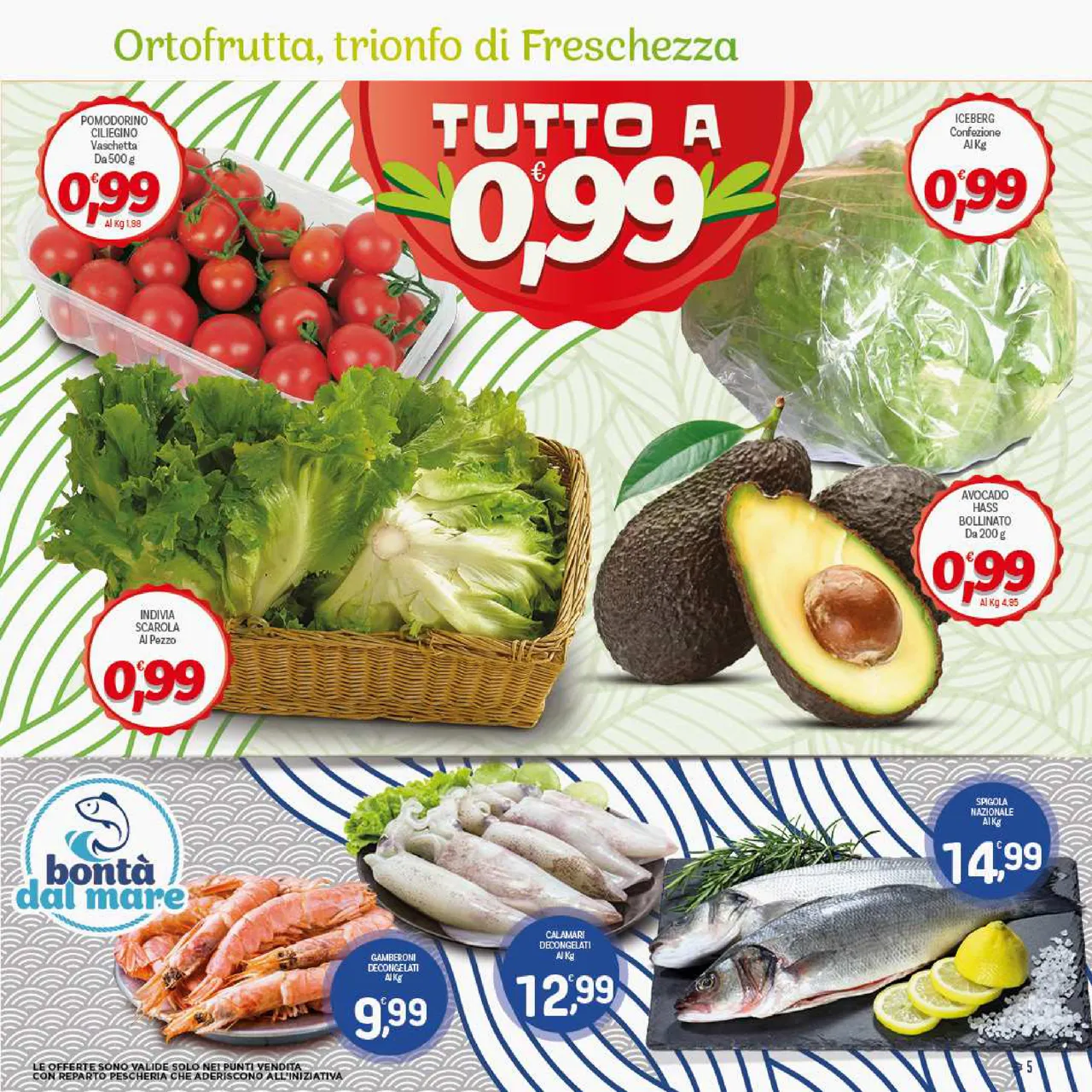 Pagina 5