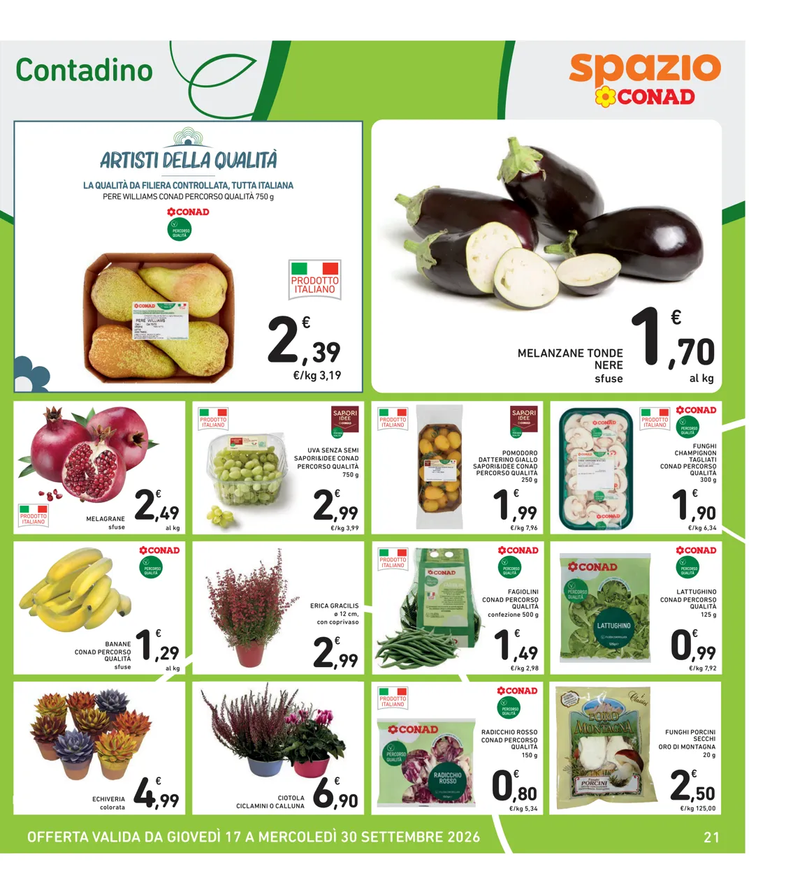 Pagina 21