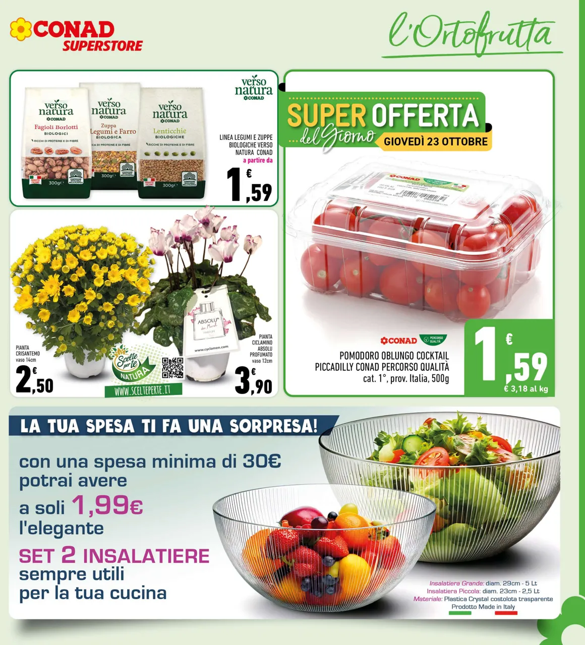 Pagina 5