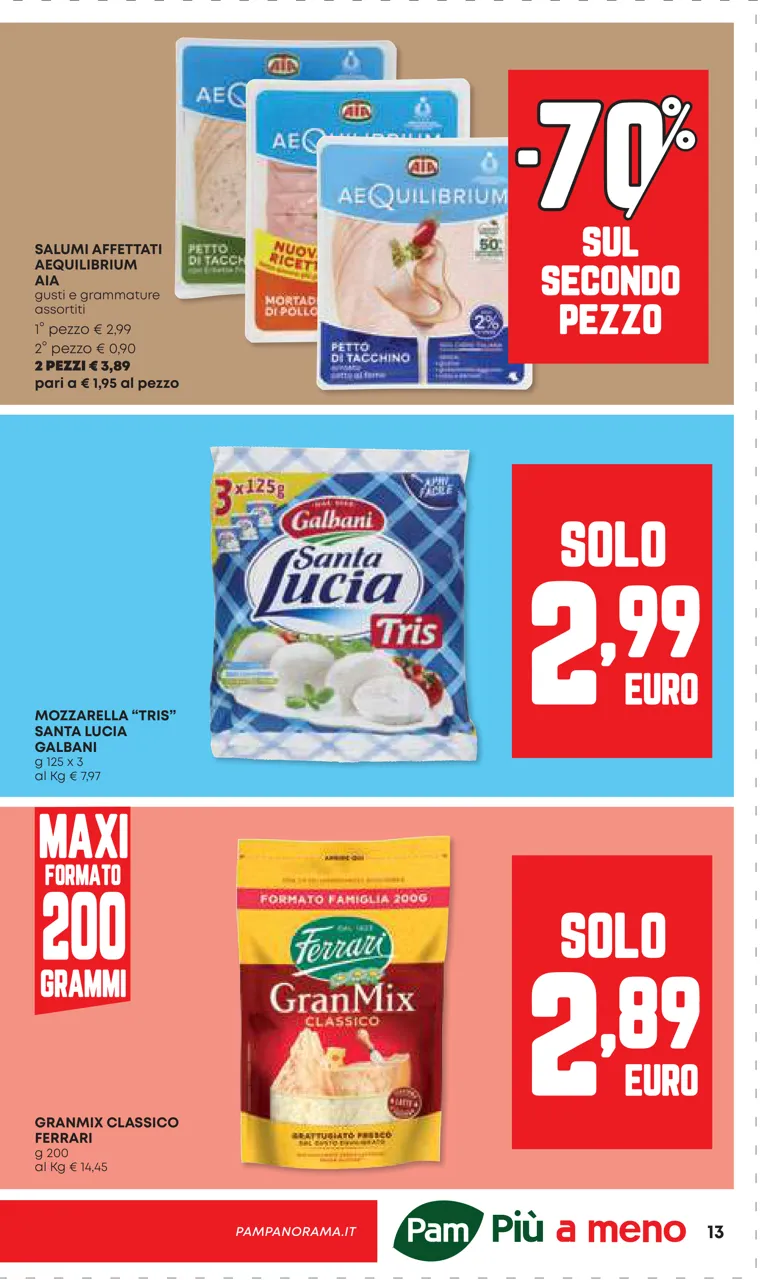 Pagina 13