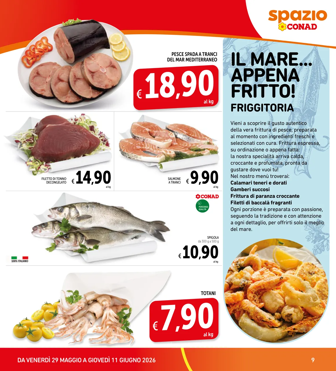 Pagina 9