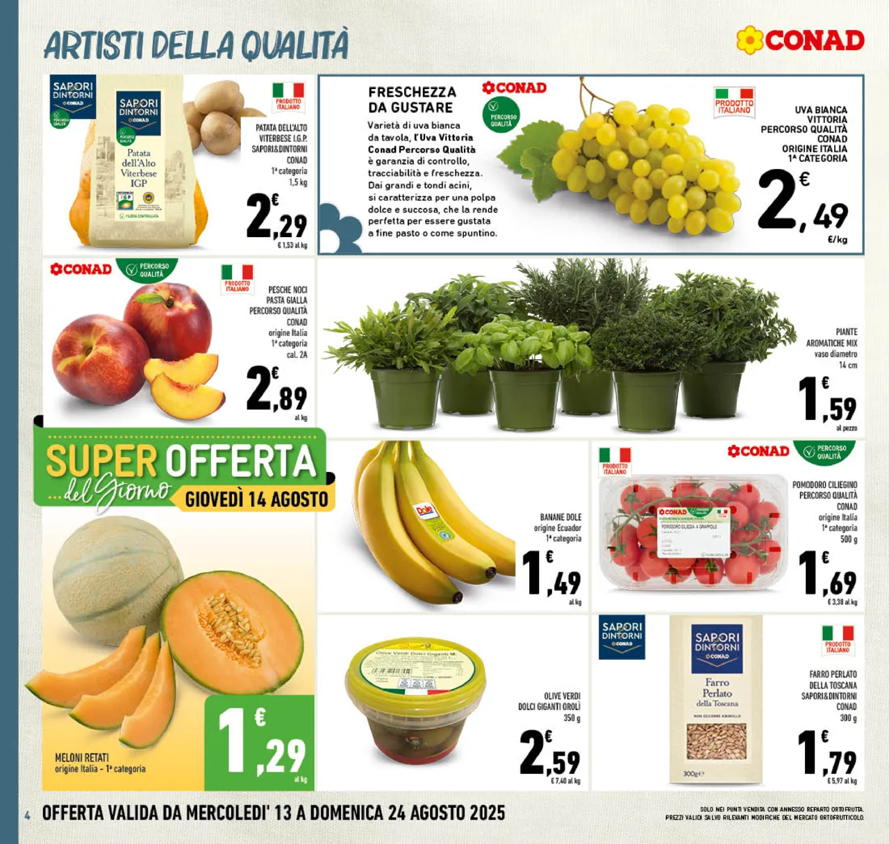 Pagina 4