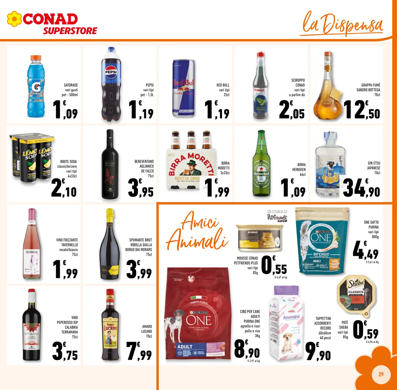 Pagina 29