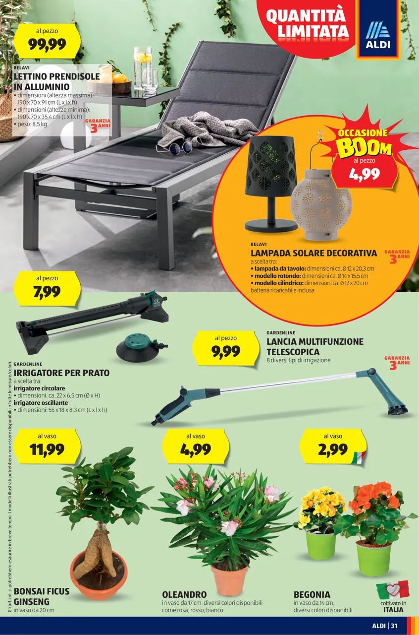 Pagina 31
