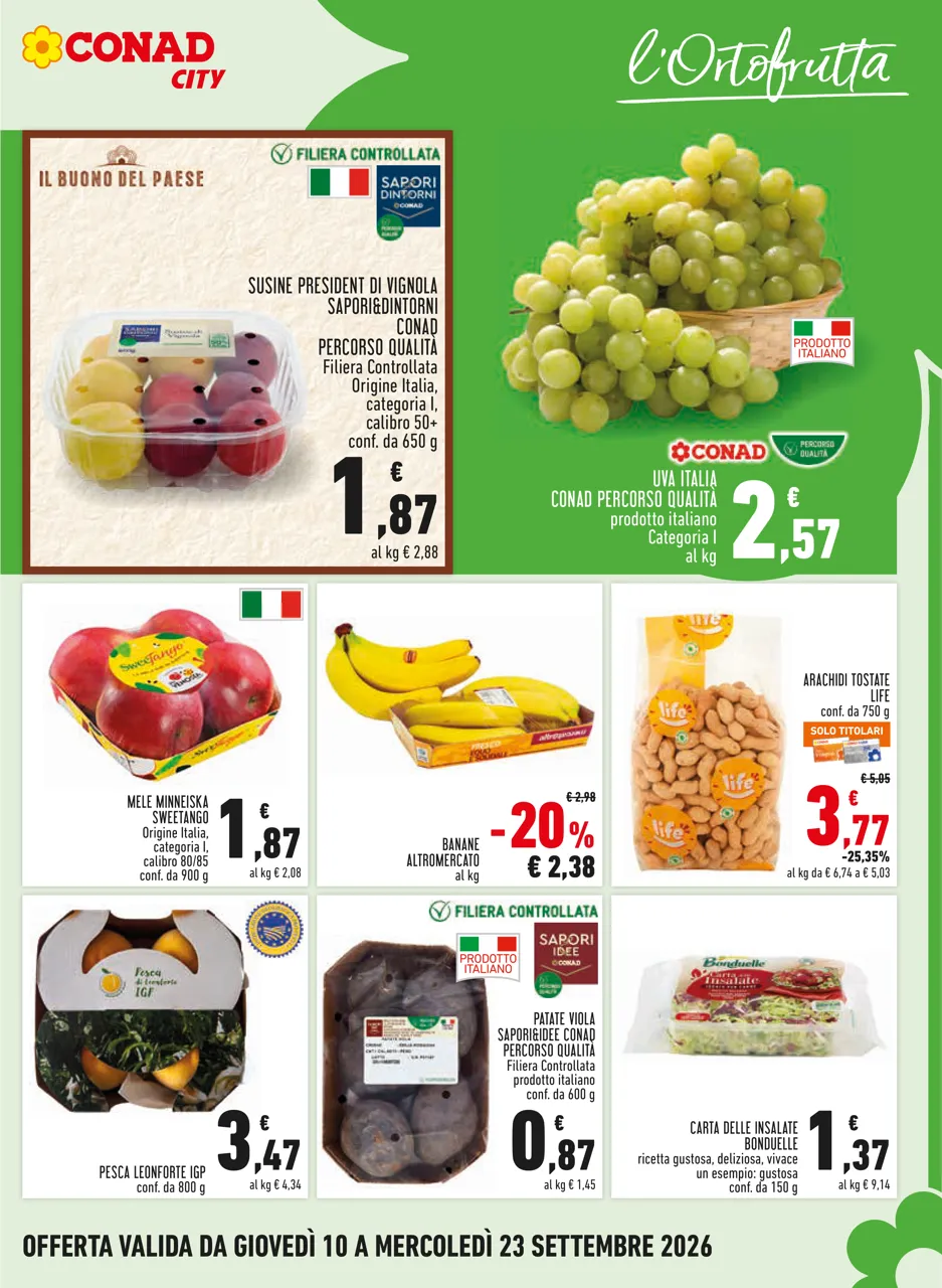Pagina 5