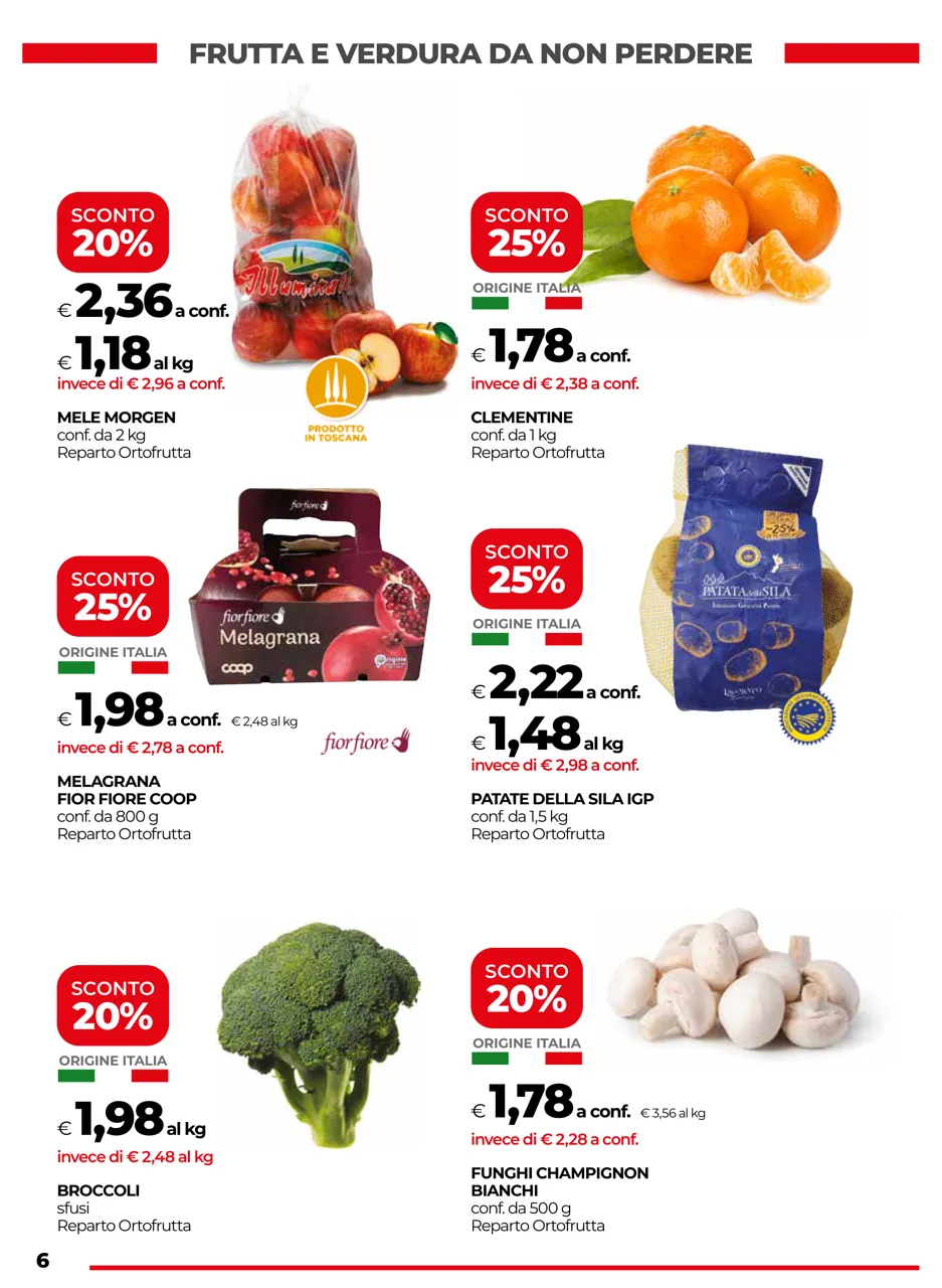 Pagina 6