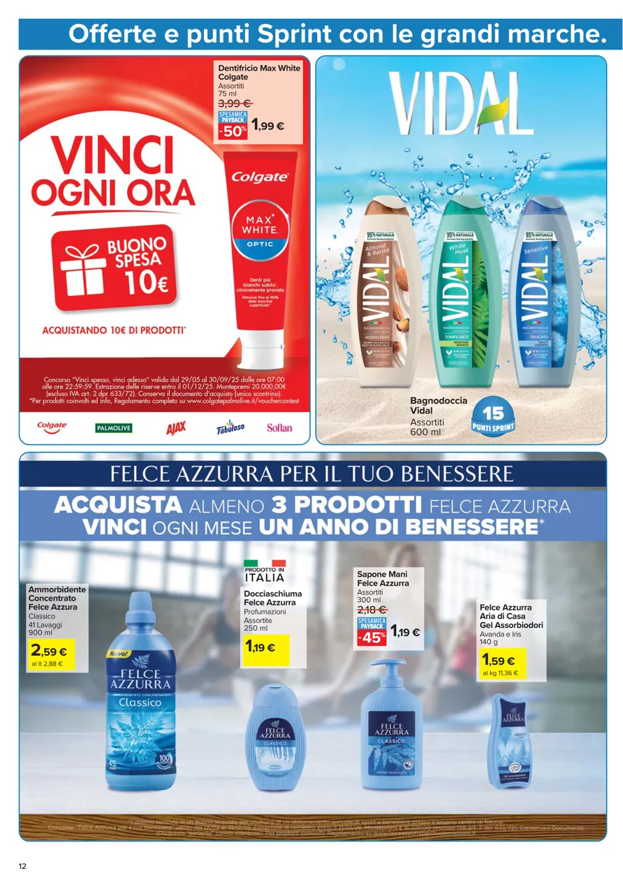 Pagina 12
